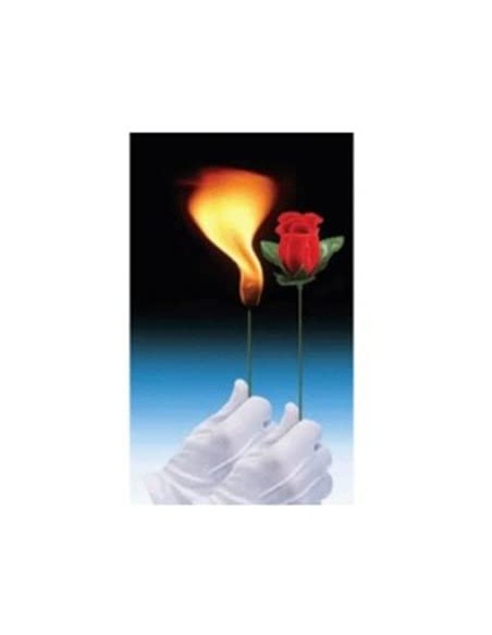 DA TORCIA A ROSA - L'Officina delle feste