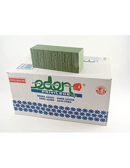 SPUGNA EDEN RAPID PLUS 25X10X8 - L'Officina delle feste SPUGNA EDEN RAPID PLUS 25X10X8 - L'Officina delle feste