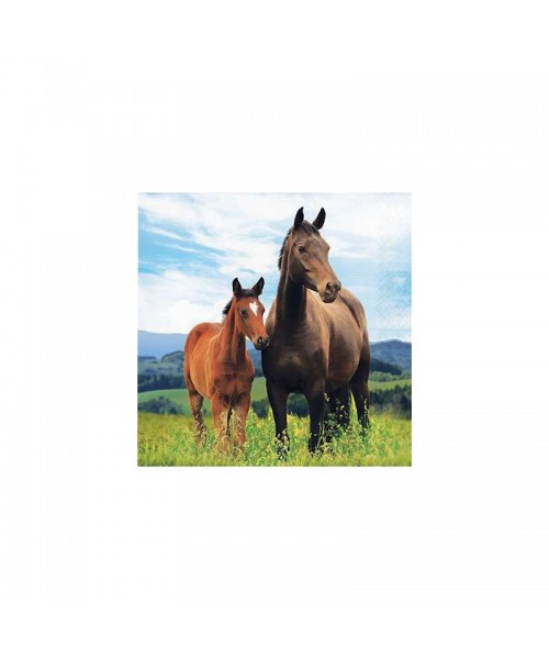 TOVAGLIOLI PZ. 8 PONY E CAVALLI 266ML - L'Officina delle feste