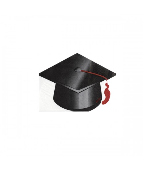 TOVAGLIOLI 33x25 cm SAGOMA CAPPELLO LAUREA 16PZ - L'Officina
