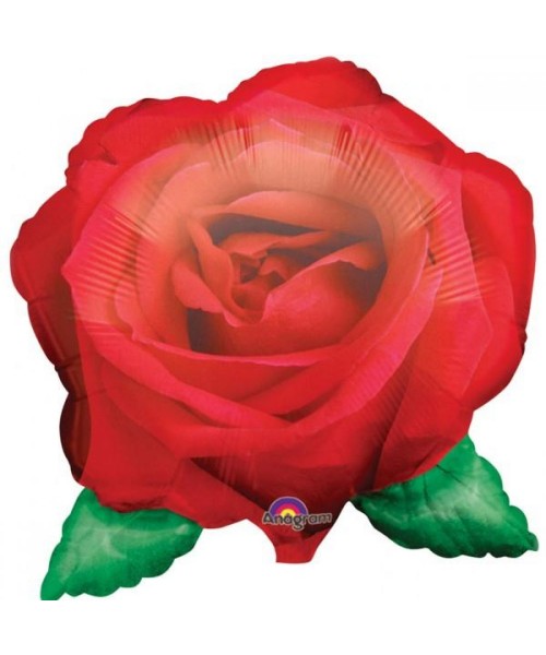 PALLONE MYLAR ROSA ROSSA FOTOGRAFICA 64X69CM - L'Officina delle