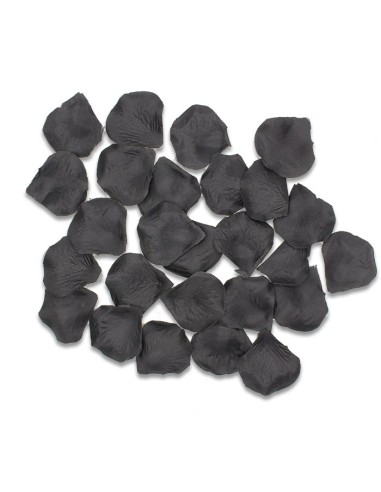 144 PETALI NERI POLIESTERE - L'Officina delle feste