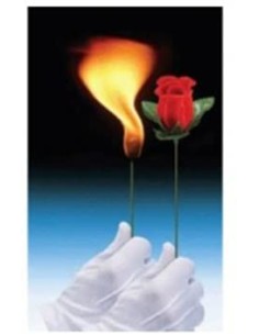DA TORCIA A ROSA - L'Officina delle feste 2
