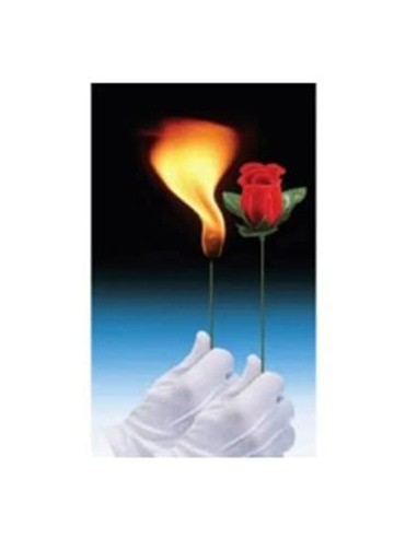 DA TORCIA A ROSA - L'Officina delle feste