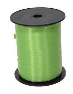 NASTRO SPLENDENE 10X250 VERDE MELA - L'Officina delle feste 2