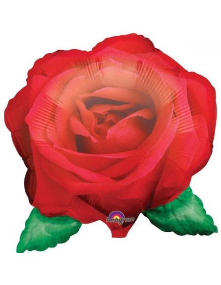 PALLONE MYLAR ROSA ROSSA FOTOGRAFICA 64X69CM - L'Officina delle