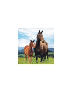 TOVAGLIOLI PZ. 8 PONY E CAVALLI 266ML - L'Officina delle feste 2