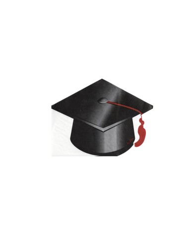 TOVAGLIOLI 33x25 cm SAGOMA CAPPELLO LAUREA 16PZ - L'Officina