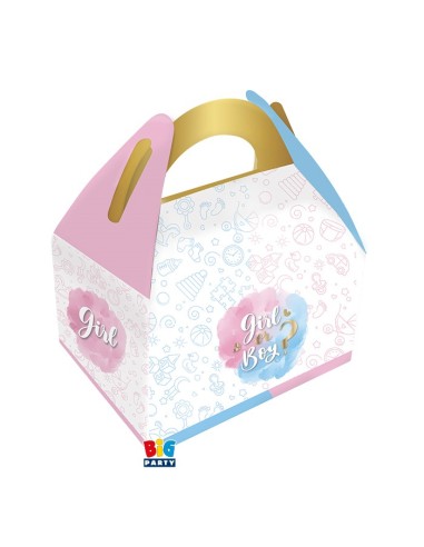 6 PARTY BOX BOY OR GIRL 15X18X11 CM - L'Officina delle feste