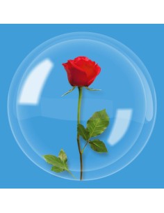 PALLONE BUBBLE DECO B-LOON 20" COLLO LARGO 50CM - L'Officina