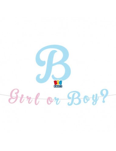 FESTONE SCRITTA BOY OR GIRL?300CM