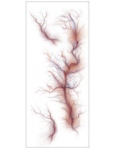 TATUAGGIO VENA 30X13CM - L'Officina delle feste