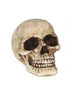 DECORO TESCHIO IN RESINA 8CM