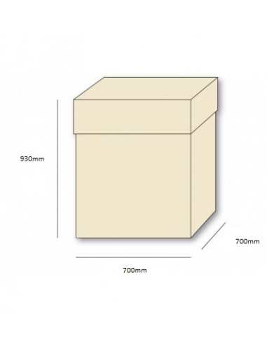SCATOLA BOX SURPRISE CM. 70X70X92 BIANCA - L'Officina delle