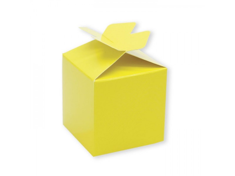 25 SCAT. CUBETTO FIOCCO GIALLE