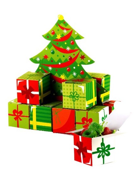 Centerpiece albero con 12 scatoline