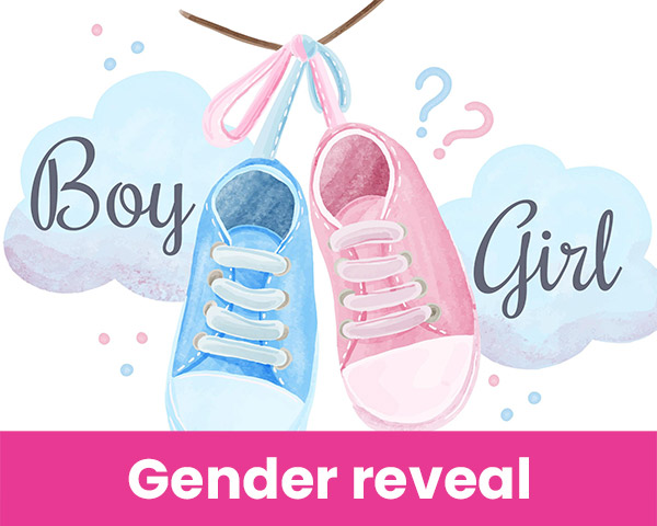 Gender reveal